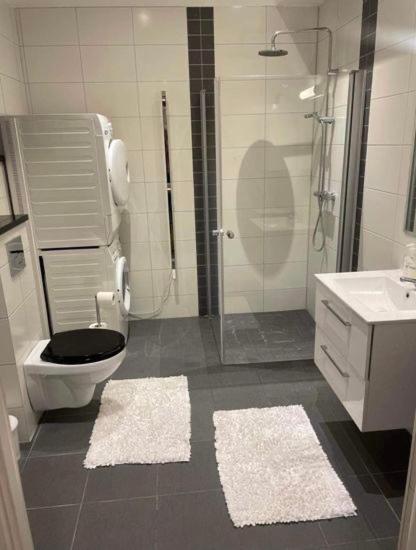 Nyrenoverad Lagenhet Åhus Exteriér fotografie